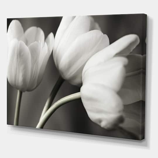 Designart - Row Of Bw Tulips